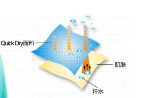 图五